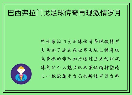 巴西弗拉门戈足球传奇再现激情岁月